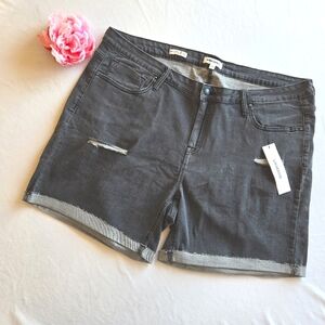 🏷️VIGOSS MARLEY Mid Rise Cuffed Distressed Black Washed Shorts Size 22W
